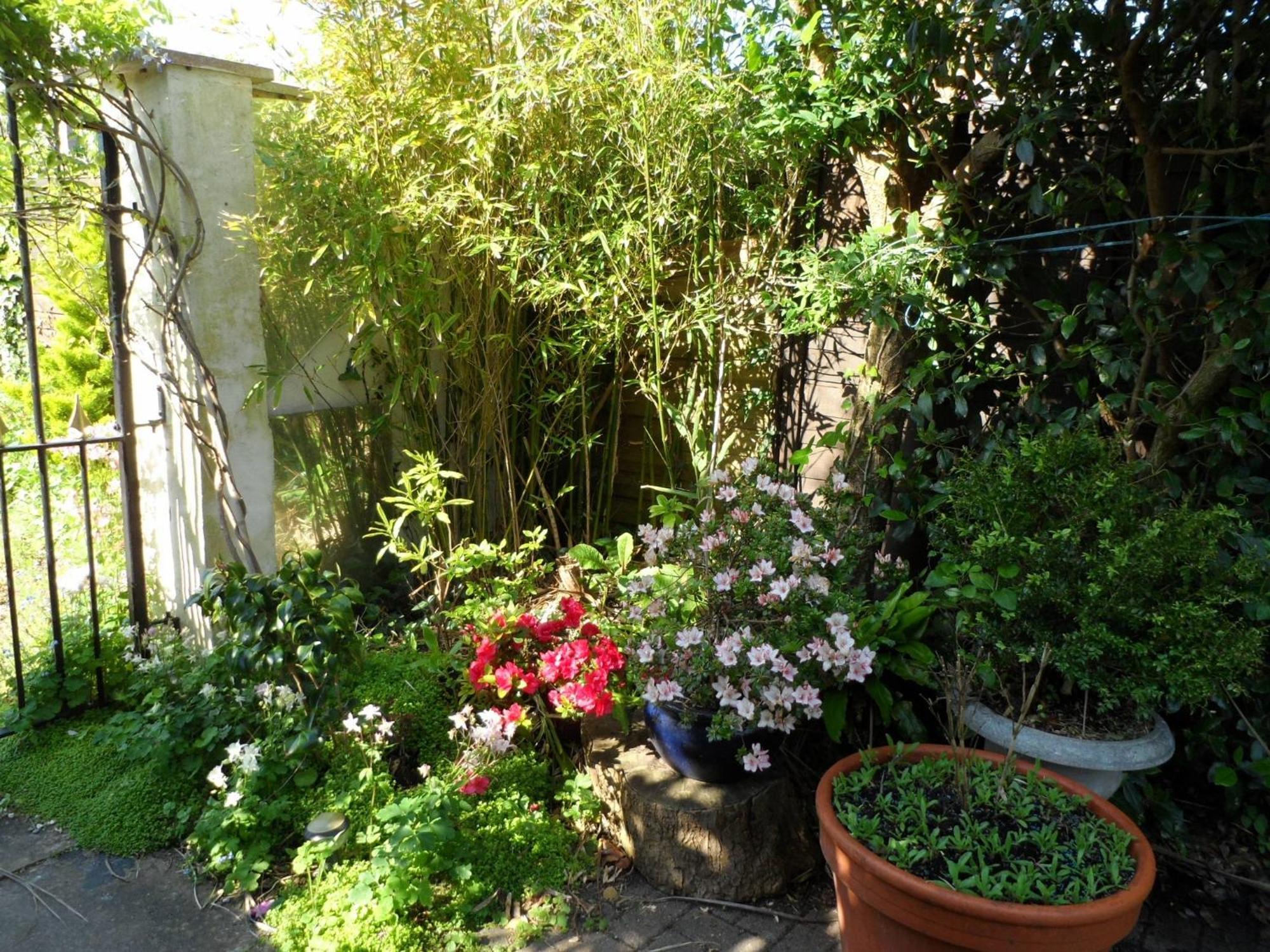 Galway Guest House Weymouth Buitenkant foto